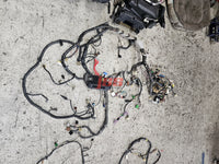 SUBARU WRX STI FULL BODY WIRING LOOM HARNESS ENGINE BAY WIRING 1999 GC8 JDM