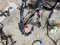 SUBARU WRX STI BULKHEAD WIRING LOOM HARNESS ENGINE BAY WIRING ECU 2003 GDB JDM