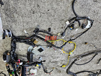 SUBARU WRX STI BULKHEAD WIRING LOOM HARNESS ENGINE BAY WIRING ECU 2003 GDB JDM