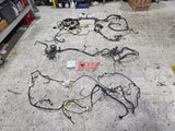 SUBARU WRX STI FULL BODY WIRING LOOM HARNESS ENGINE BAY WIRING ECU 2000 GDB JDM BUG EYE