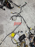 SUBARU WRX STI FULL BODY WIRING LOOM HARNESS ENGINE BAY WIRING ECU 2000 GDB JDM BUG EYE